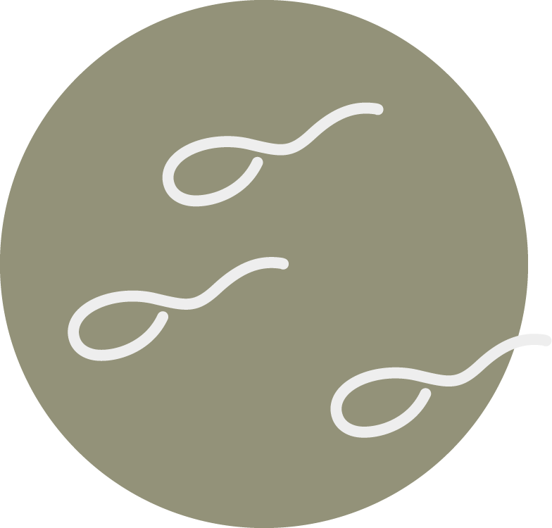 semen analysis, sperm freezing, and sperm quality