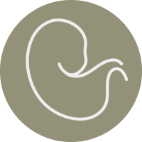 embryo testing, embryo banking, and embryo quality