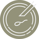 in vitro fertilization (IVF) and Intracytoplasmic Sperm Injection (ICSI)