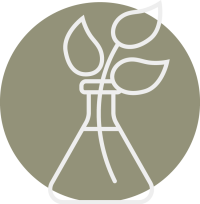 longevity and rejuvination